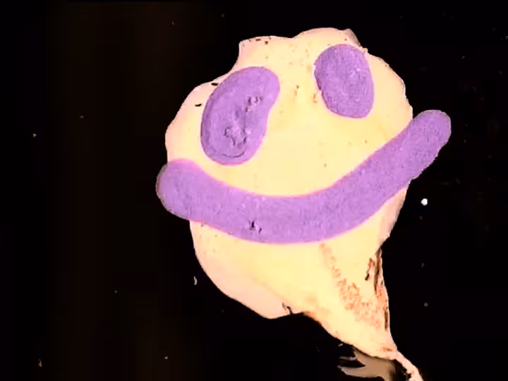 inscription 46126dda16a5e0c62aa61dba977f89b88fb92d11610a21d6e1c53e2ae8c3d5d2i12