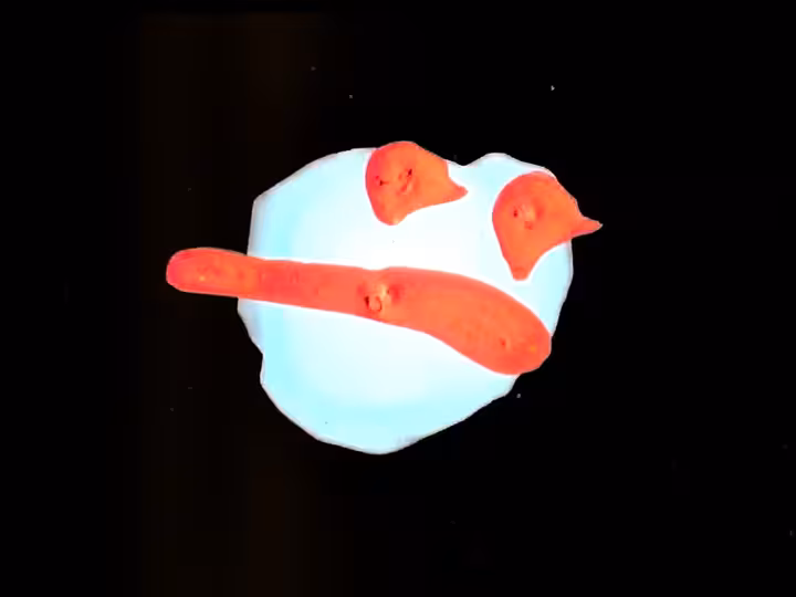 inscription 46126dda16a5e0c62aa61dba977f89b88fb92d11610a21d6e1c53e2ae8c3d5d2i14