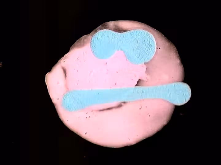 inscription 46126dda16a5e0c62aa61dba977f89b88fb92d11610a21d6e1c53e2ae8c3d5d2i26