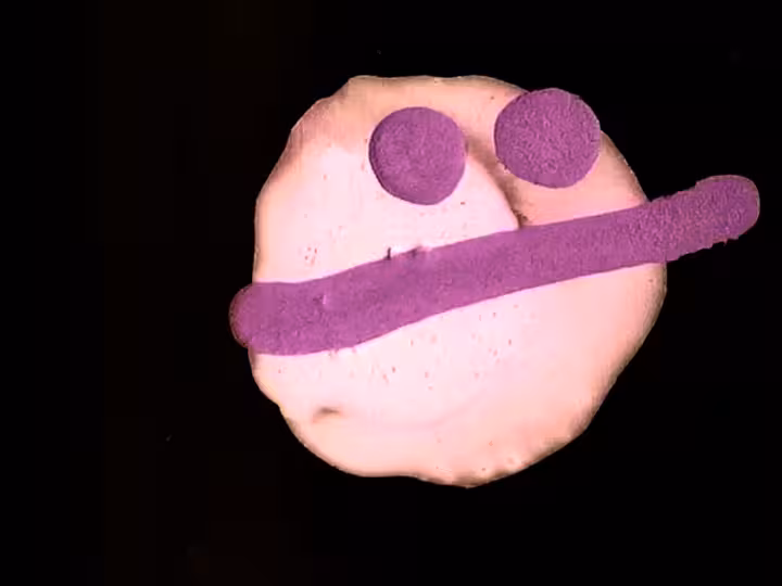 inscription 46126dda16a5e0c62aa61dba977f89b88fb92d11610a21d6e1c53e2ae8c3d5d2i9