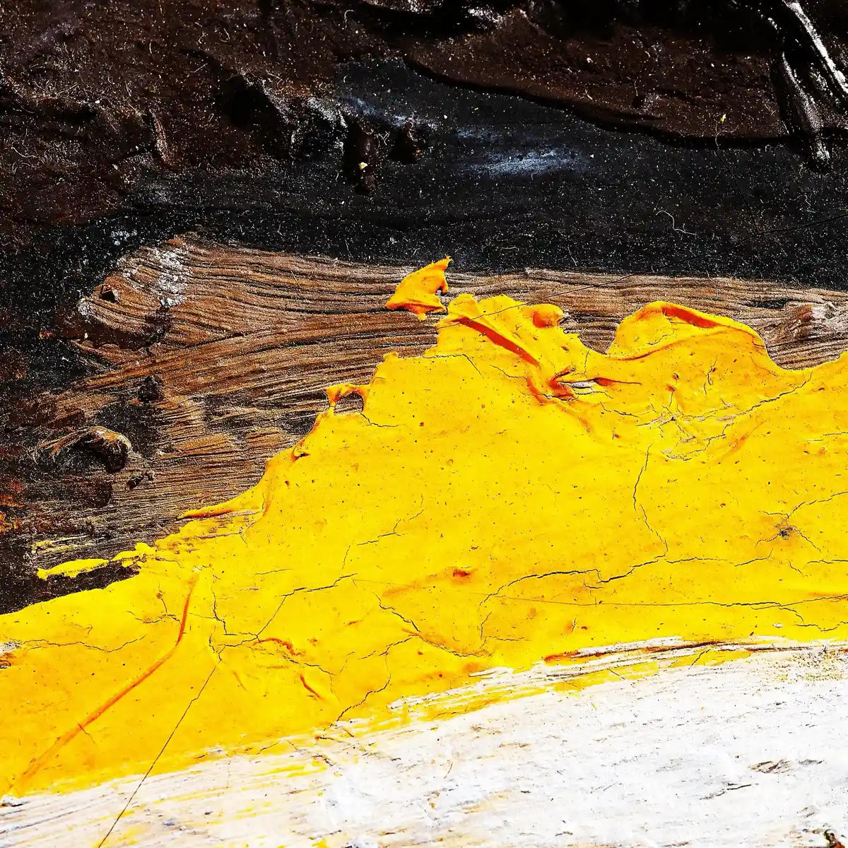 inscription 477d6322c74b074e036faef07e2fb75d5e40677fbbdefc6a65c5cd96d8bf823ai0