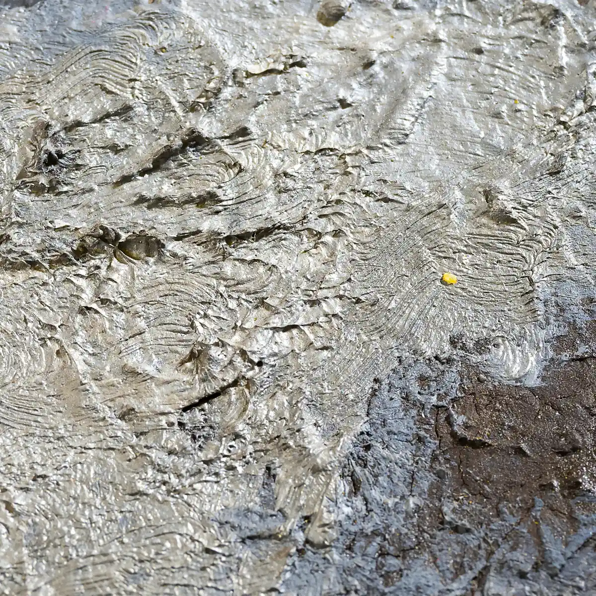 inscription 79c1638b8efe15225b961f77b8449eb77987c413cbbe7376a9ab1bd5837baa6ai0