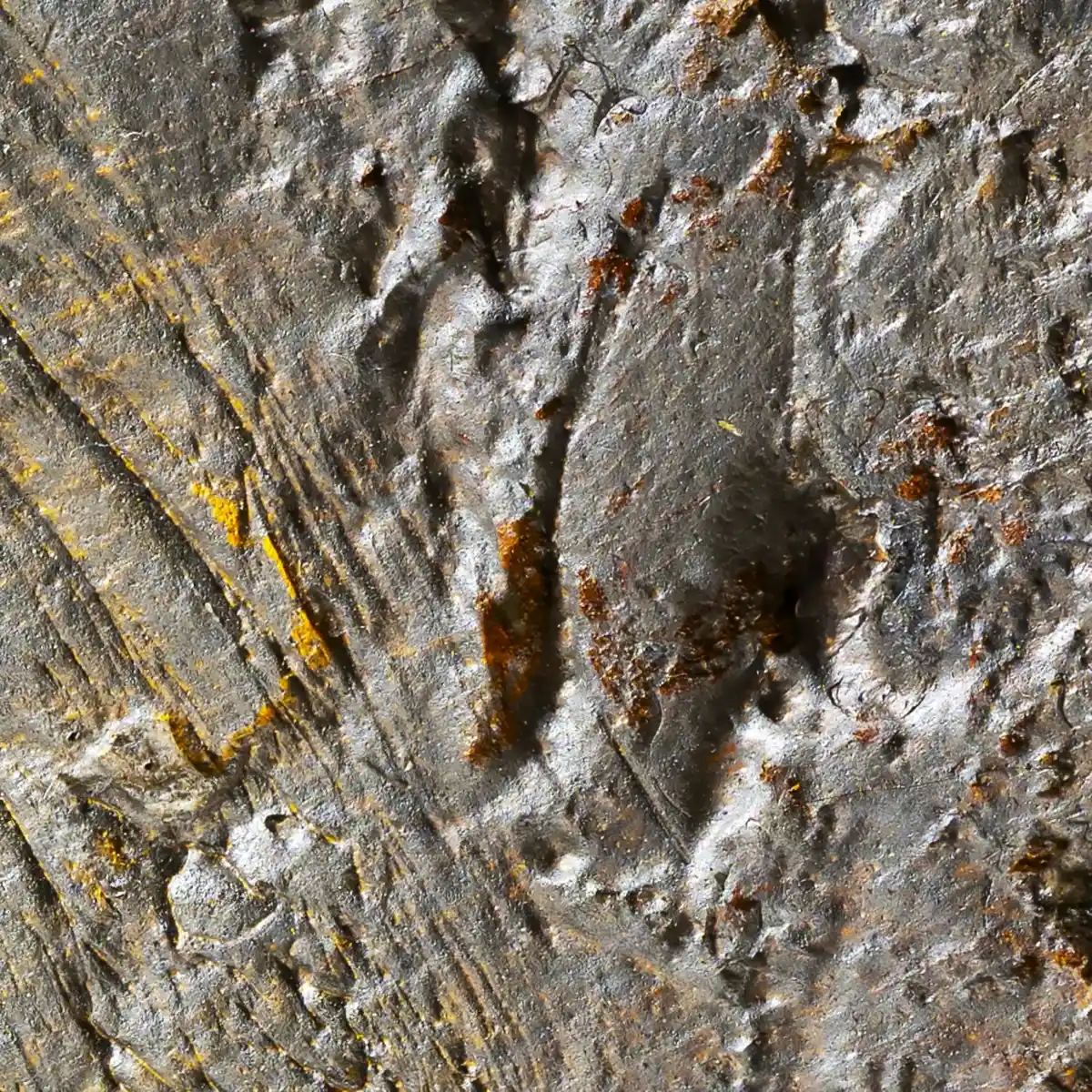 inscription c14a4c3bc9dc37f0869ef5fed96c599fc1c3398bb0d66c50cc4abe844190f681i0