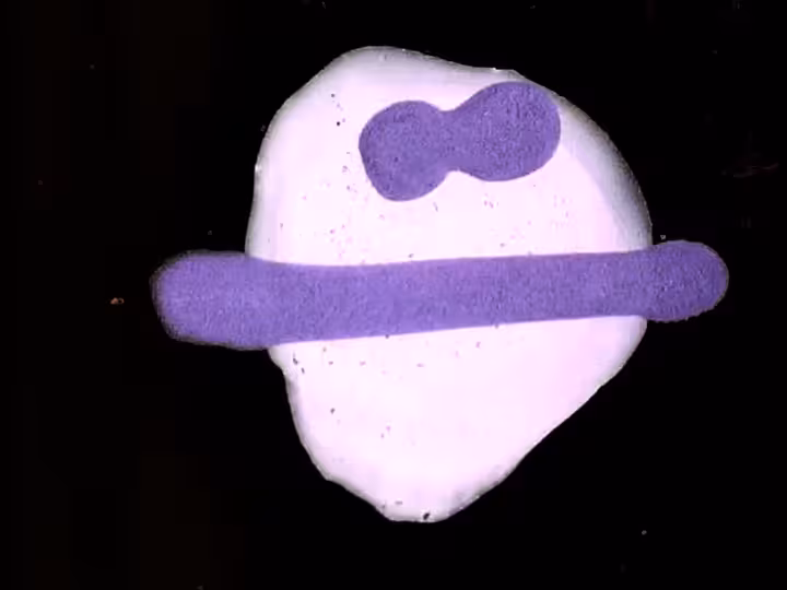 inscription c3074dbdf68103cb2ea8364c22be5ee1800088a4c1d3c4d91e7c5e76d1ce7bb2i15