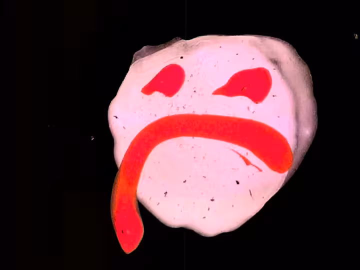 inscription c31a060d5c5c95643cc2a0dbeca45eb89efd1f676442f80231410affb694e2a6i19