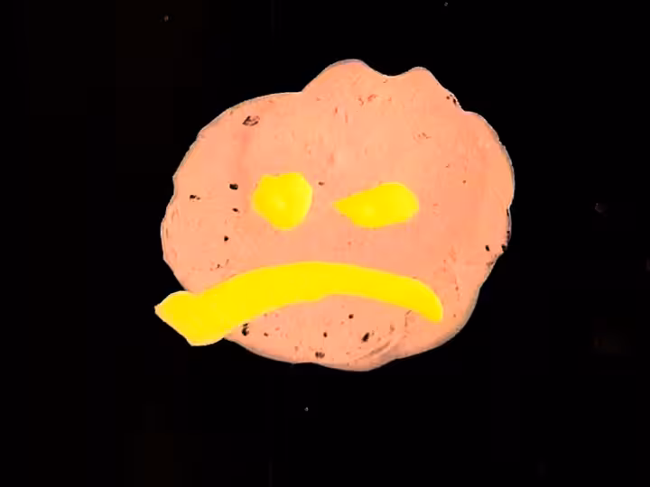 inscription c31a060d5c5c95643cc2a0dbeca45eb89efd1f676442f80231410affb694e2a6i6