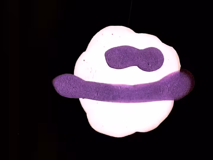 inscription c31a060d5c5c95643cc2a0dbeca45eb89efd1f676442f80231410affb694e2a6i8