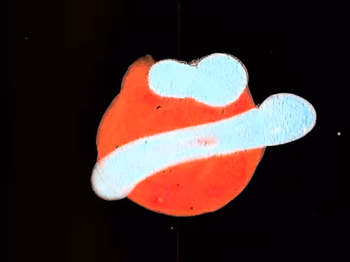 inscription cdf377d4fb41b137f121d62c96e05d688c2aa5b290ac2539f3e909b48b0ee4d7i4