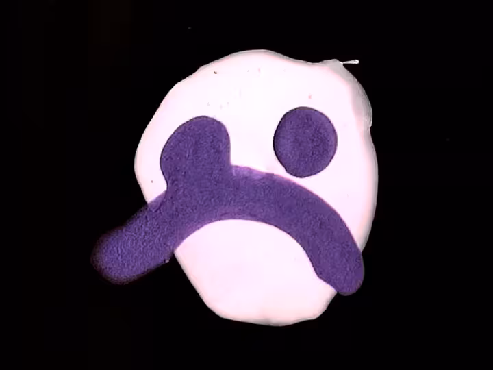 inscription cdf377d4fb41b137f121d62c96e05d688c2aa5b290ac2539f3e909b48b0ee4d7i7