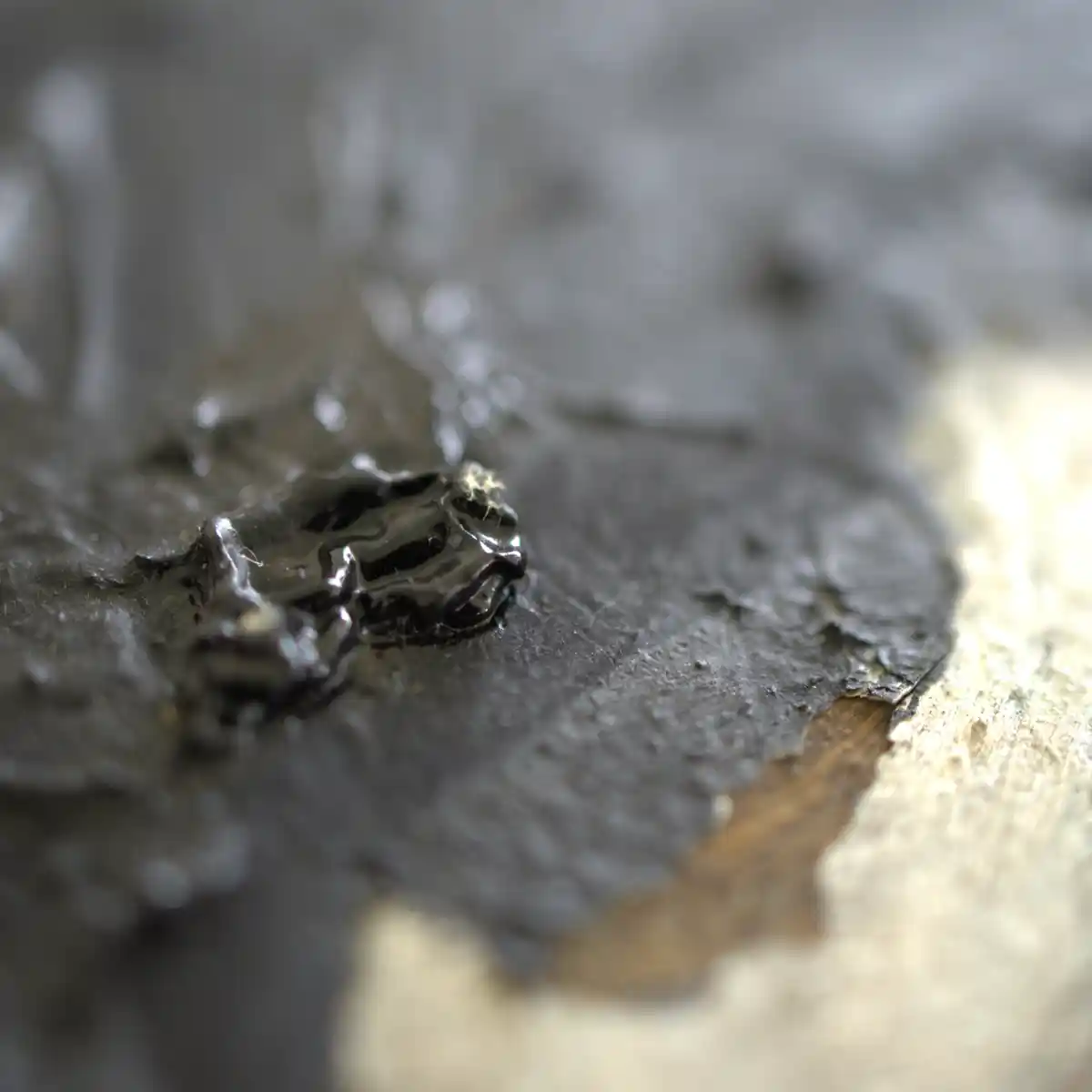 inscription e063f9fcb50268244e5566bd320dab58c37c2b8b8412c39a4b9e45c239f007f3i1