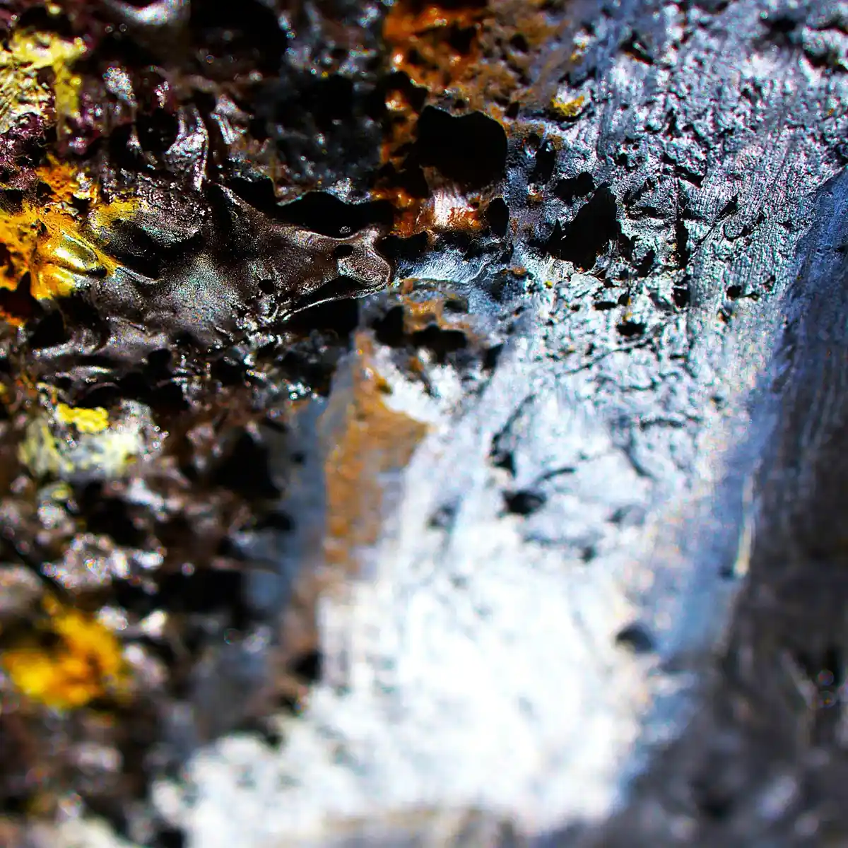 inscription e063f9fcb50268244e5566bd320dab58c37c2b8b8412c39a4b9e45c239f007f3i2