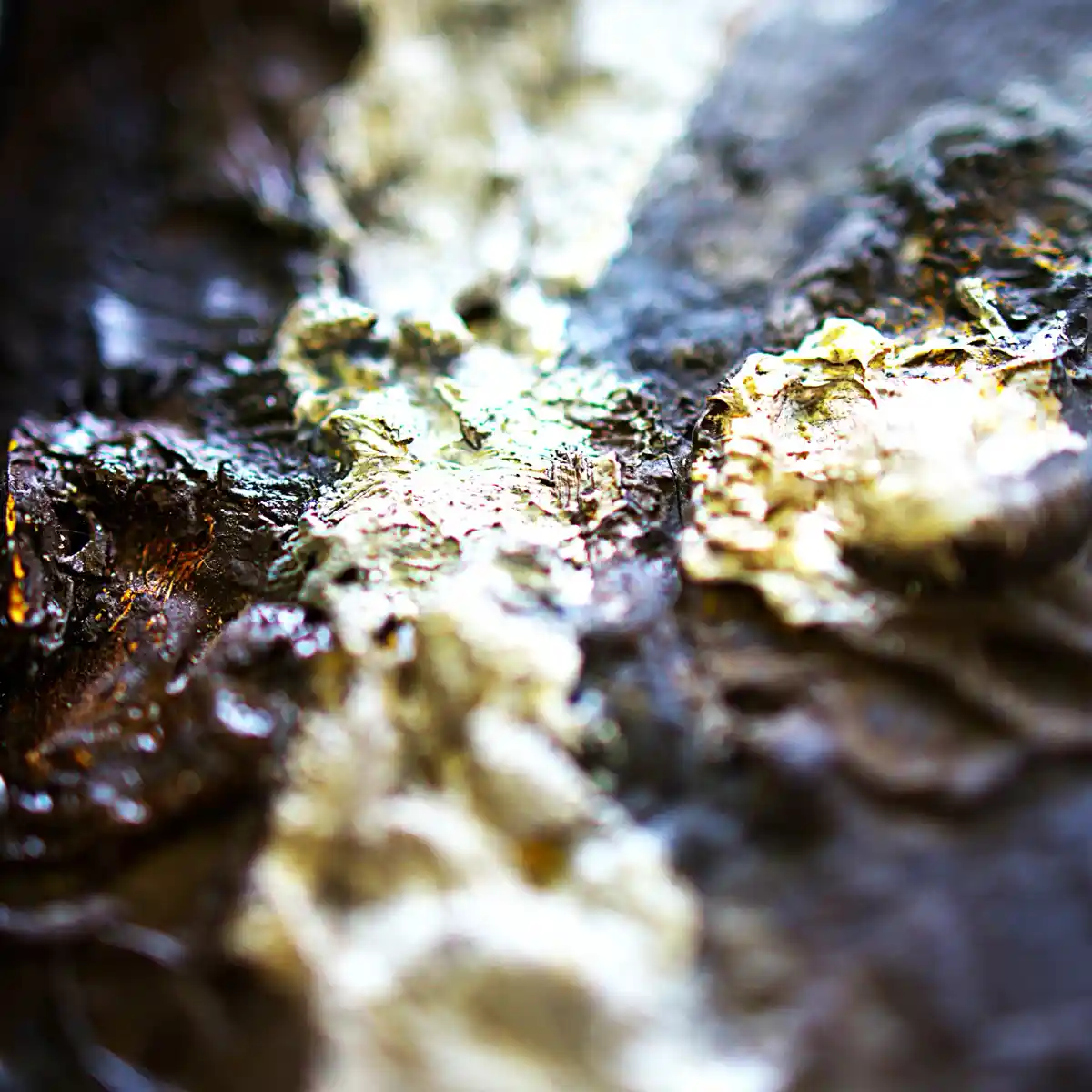 inscription e63d0d859ab55ba9342009f8739a92366103f828ade4e5d56cadb25c55404468i1