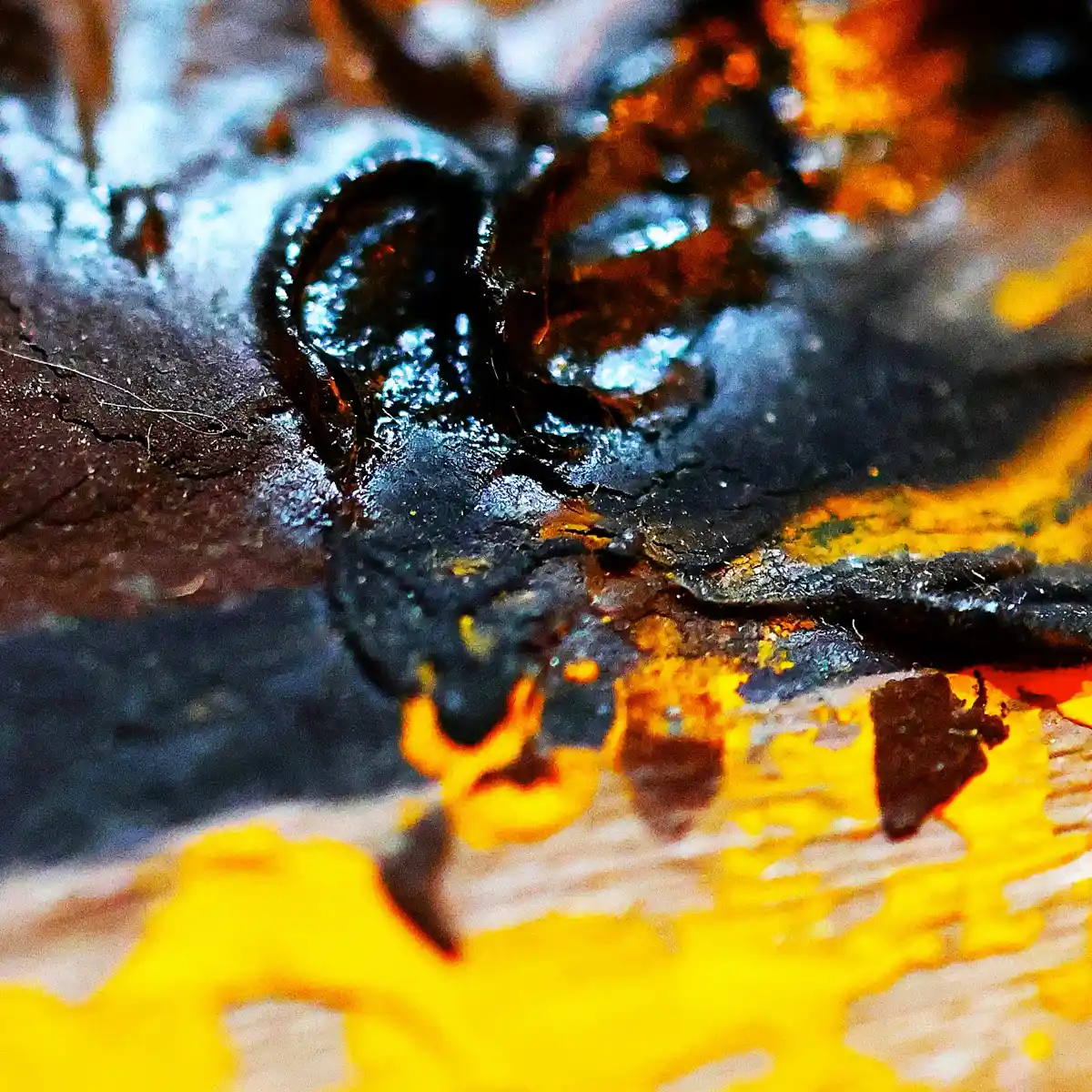 inscription f91b2a74de7dd0c3627f915affa72a1a5b292c7e91c1d3b74414bfa0e90f2529i0